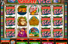karate pig microgaming online slots 