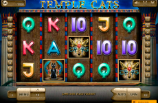 temple cats endorphina online slots 