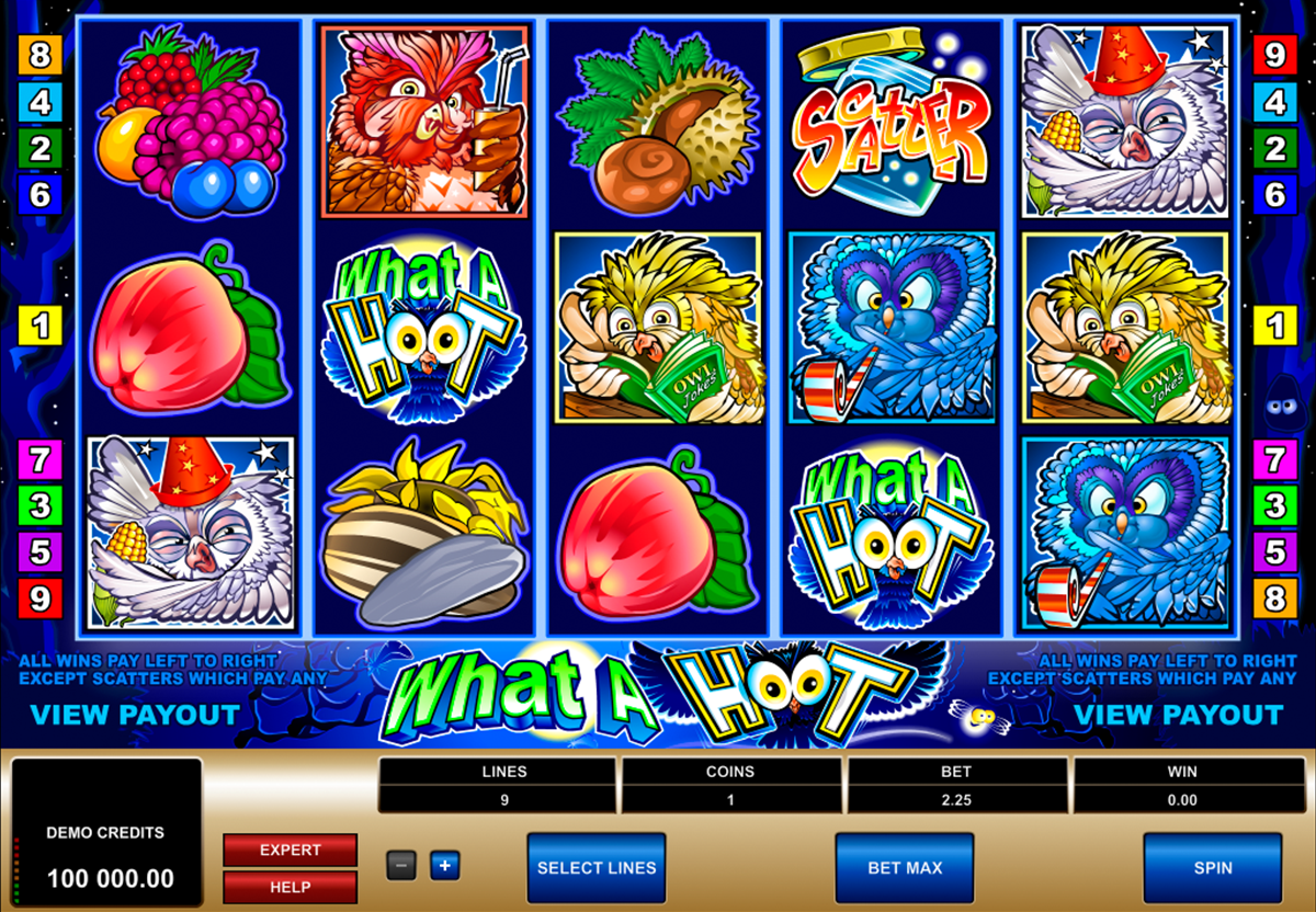 what a hoot microgaming online slots 