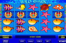 wild shark amatic online slots 