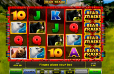 bear tracks novomatic online slots 