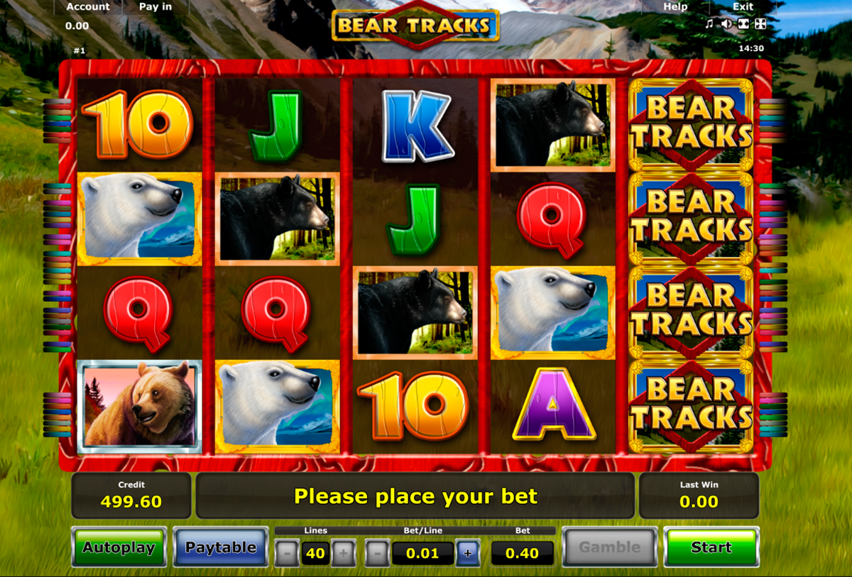 bear tracks novomatic online slots 