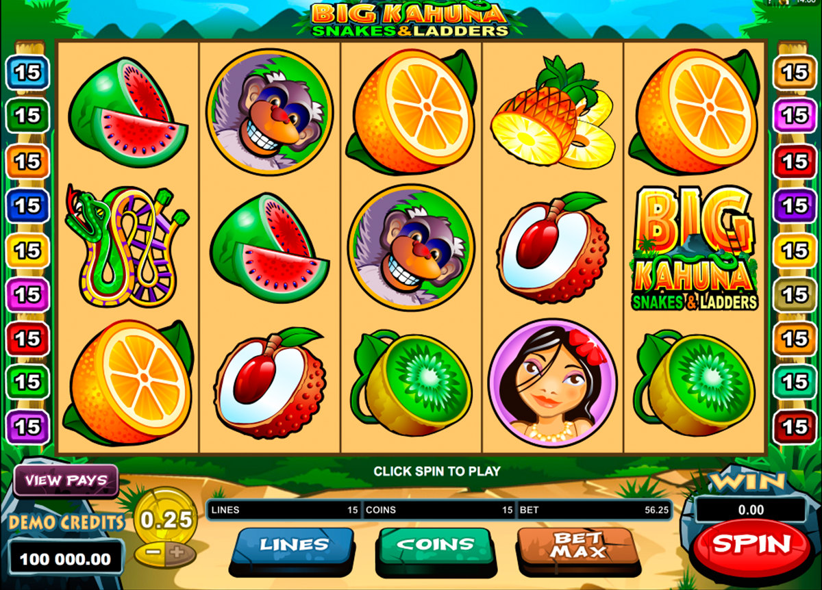 big kahuna snakes and ladders microgaming online slots 