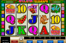 bush telegraph microgaming online slots 