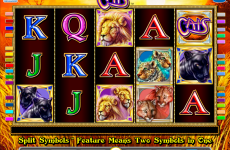 cats igt online slots 