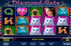 diamond cats amatic online slots 