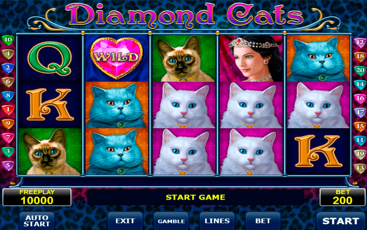 diamond cats amatic online slots 