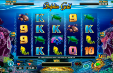 dolphin gold lightning box online slots 