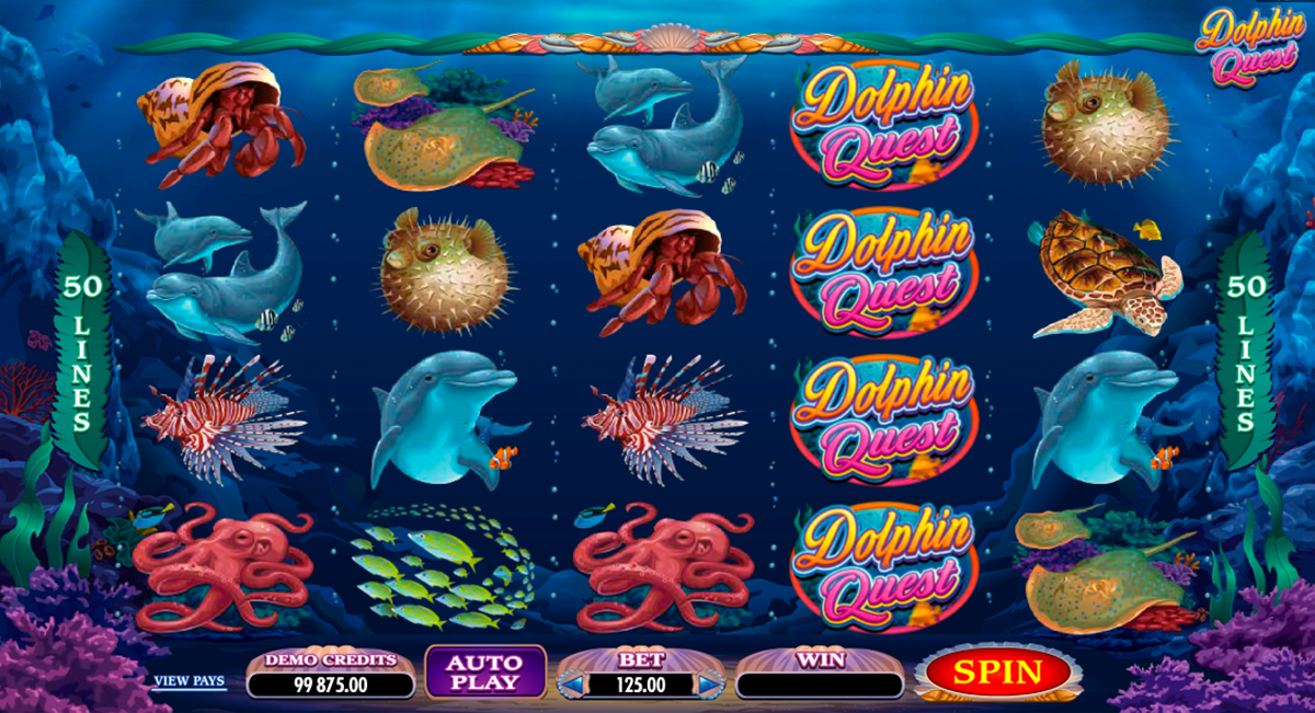 dolphin quest microgaming online slots 