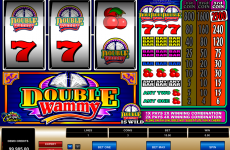 double wammy microgaming online slots 