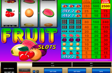 fruit slots microgaming online slots 