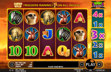 hot safari pragmatic online slots 