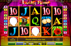 lucky rose novomatic online slots 