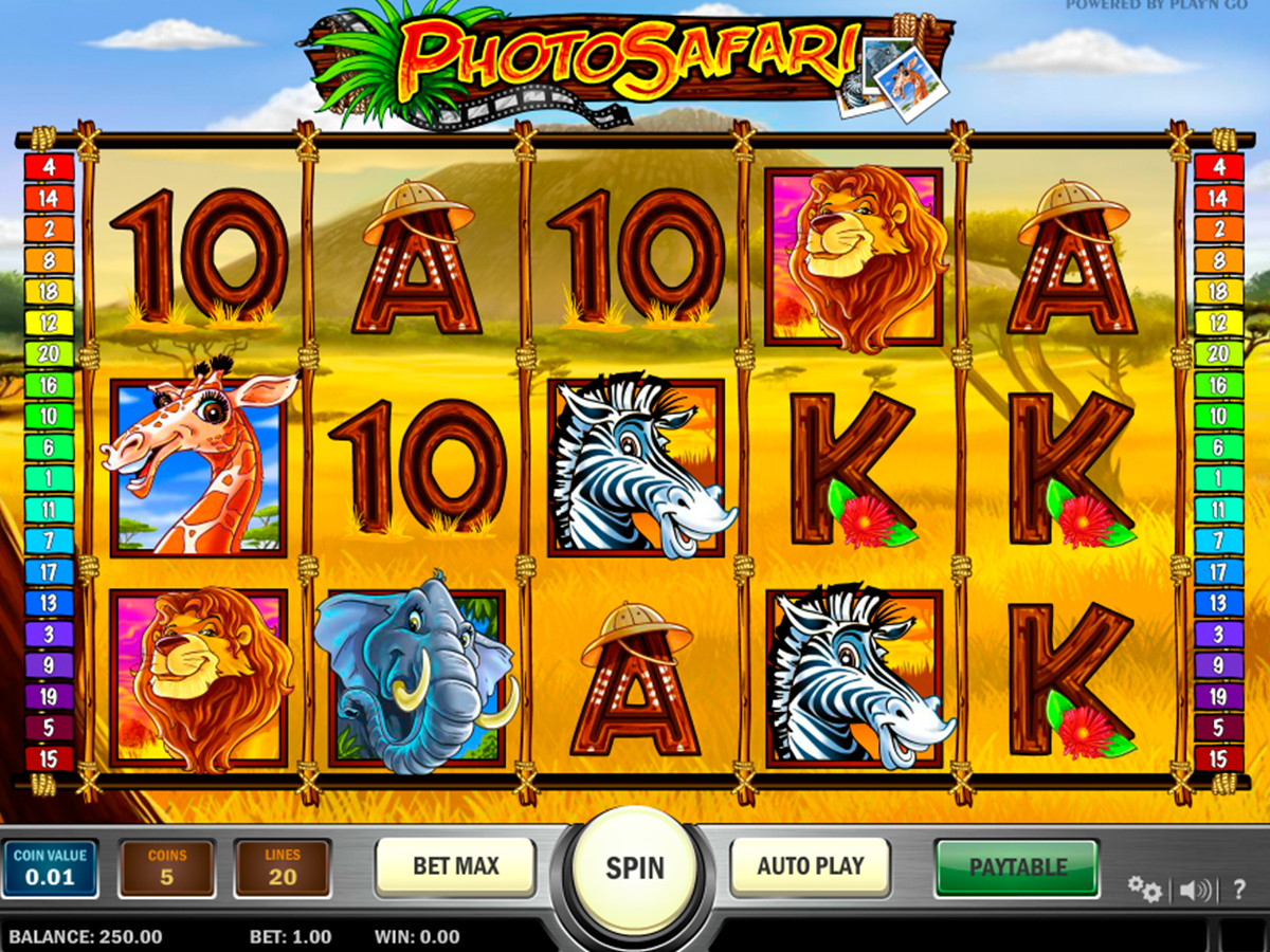 photo safari playn go online slots 