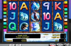 polar fox novomatic online slots 