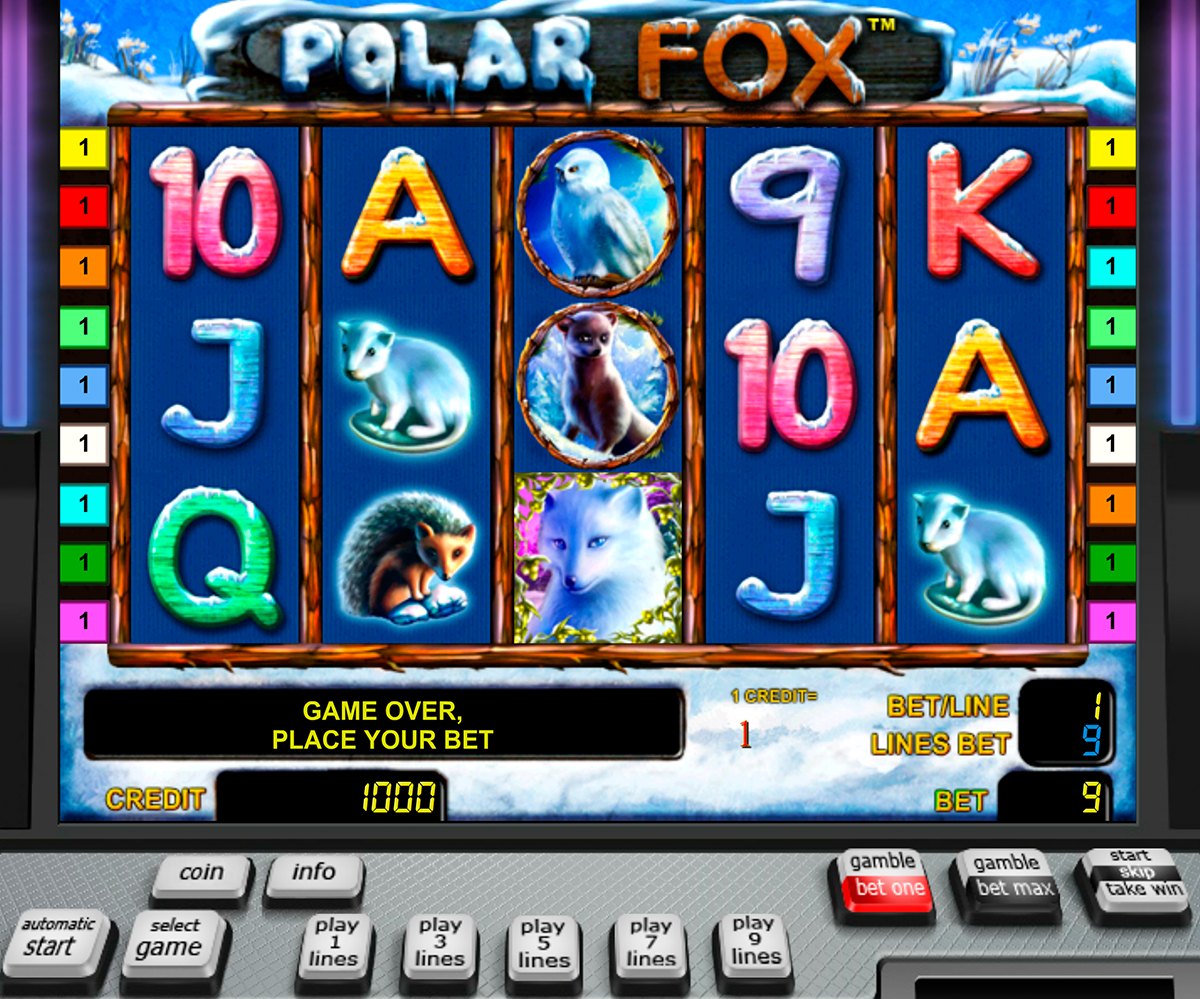 polar fox novomatic online slots 