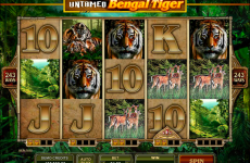 untamed bengal tiger microgaming online slots 