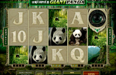 untamed giant panda microgaming online slots 