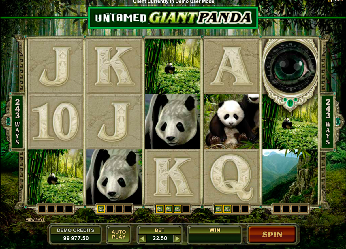 untamed giant panda microgaming online slots 