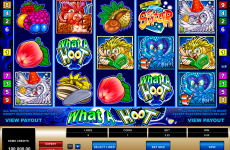 what a hoot microgaming online slots 