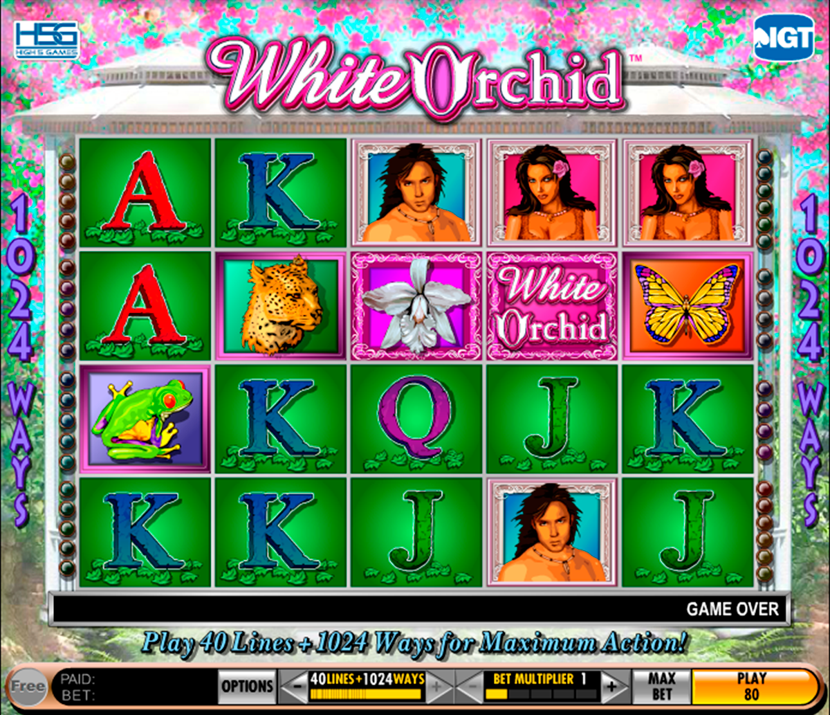 white orchid igt online slots 