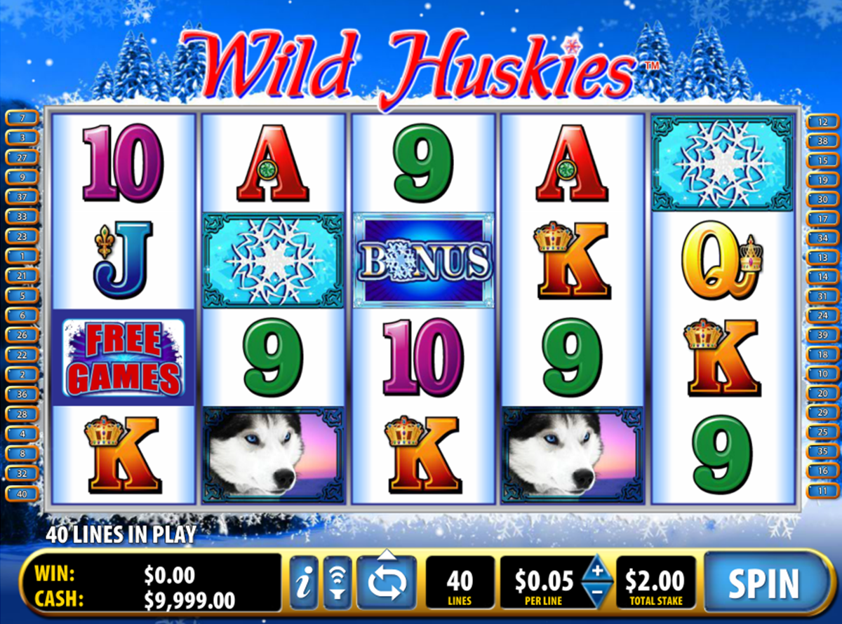 wild huskies bally online slots 