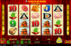 wild panda aristocrat online slots 