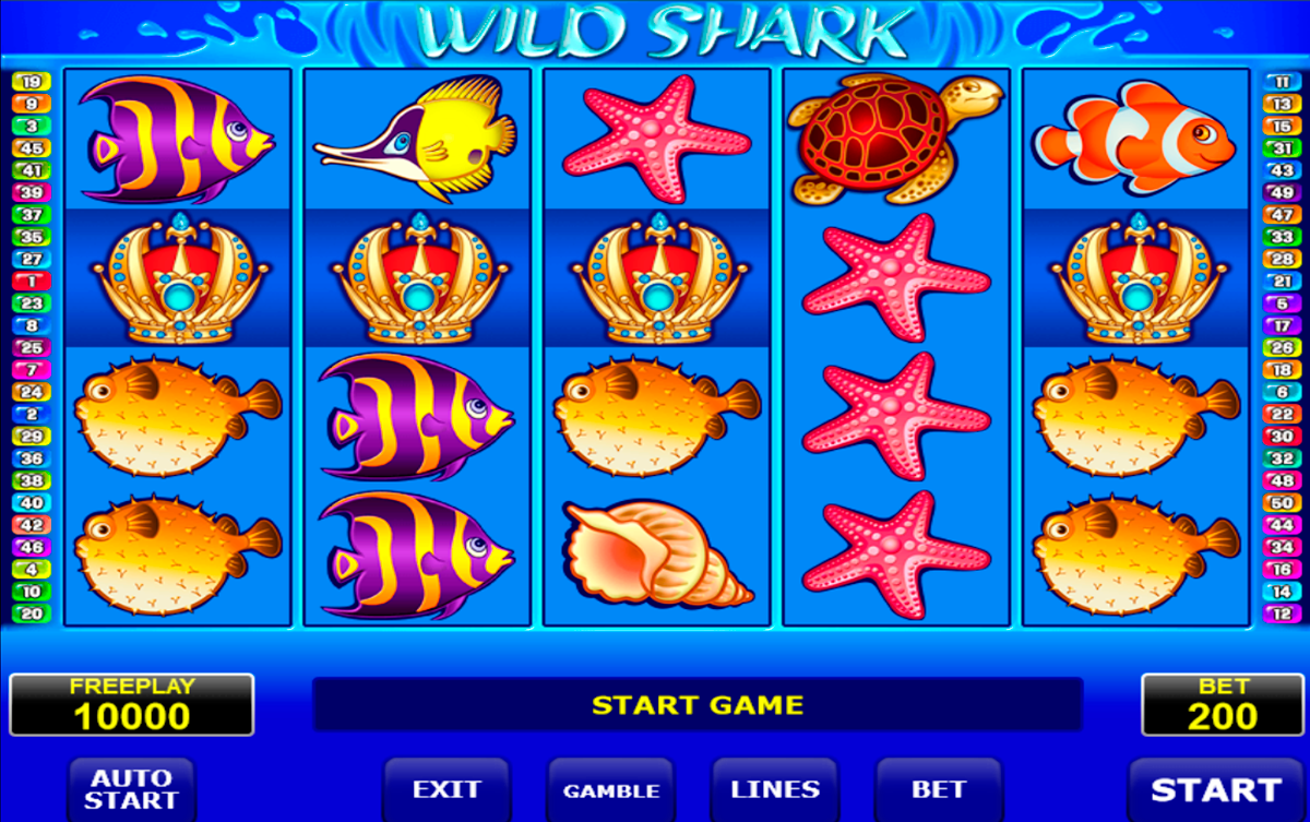 wild shark amatic online slots 