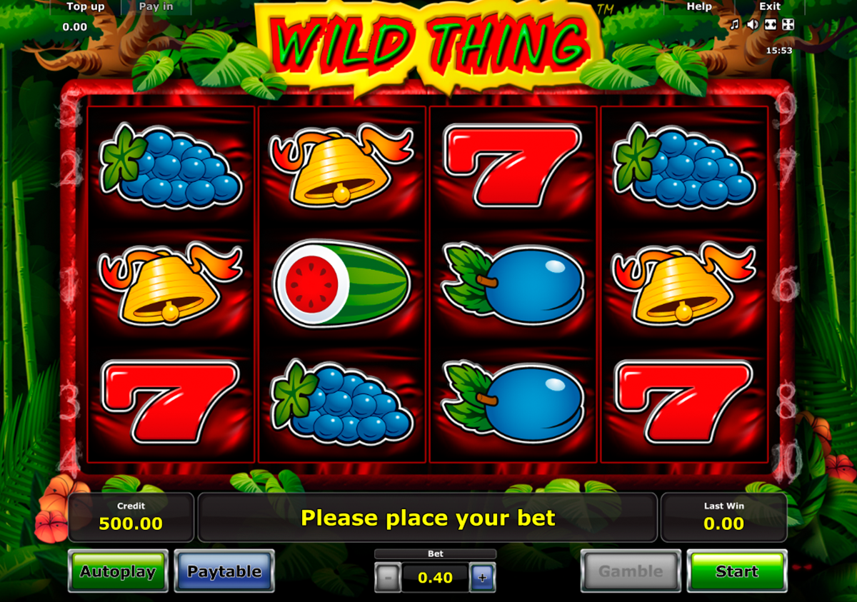 wild thing novomatic online slots 