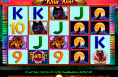 wild wolf igt online slots 