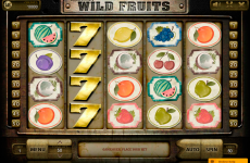 wildfruits endorphina online slots 