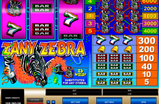 zany zebra microgaming online slots 